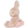 Manhattan Toy Little Friends 8.5″ Bunny Children’s Picture Book Stuffed Animal Companion