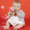 Manhattan Toy Zoo Animal Winkel Owl Multicolor Rattle & Sensory Teether for Baby and Toddler(Owl)