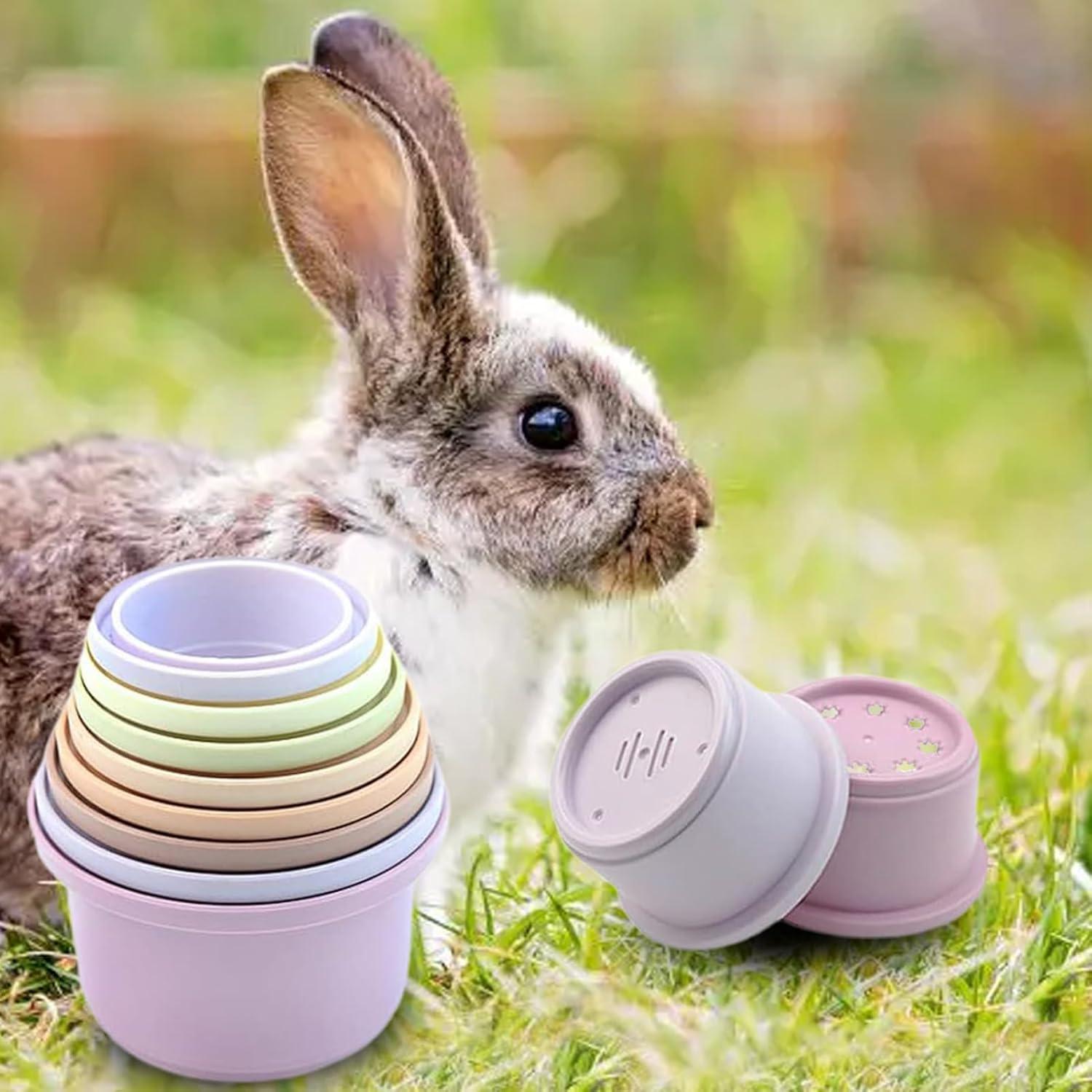 imageLot De 8 Tasses Empilables De Lapin Jouets De Lapin Empilables pour Cacher De La Nourriture Et Samuser Multicolore Jouet De Tasses NidificationConvient Aux Hamsters Lapins Cochons DInde