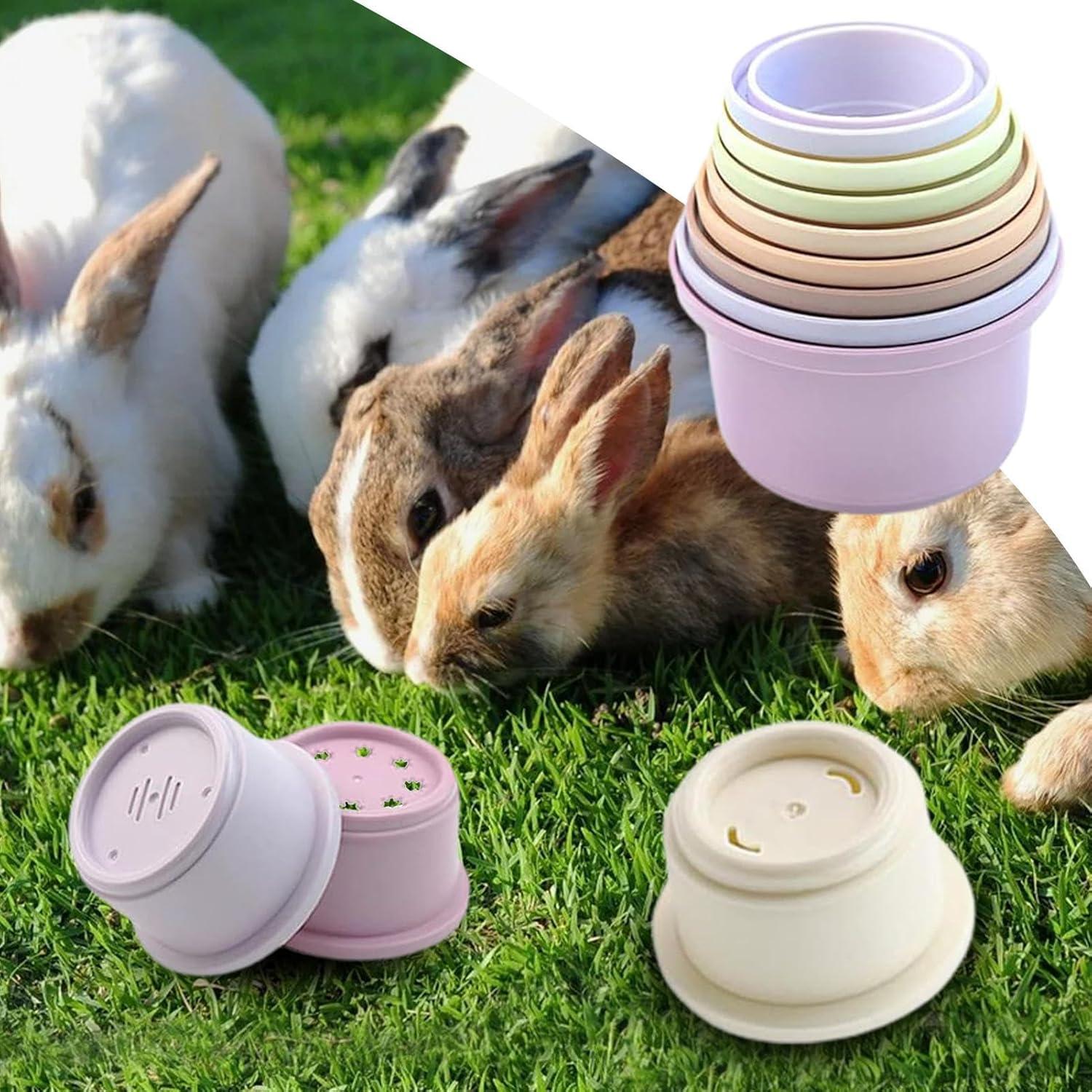 imageLot De 8 Tasses Empilables De Lapin Jouets De Lapin Empilables pour Cacher De La Nourriture Et Samuser Multicolore Jouet De Tasses NidificationConvient Aux Hamsters Lapins Cochons DInde