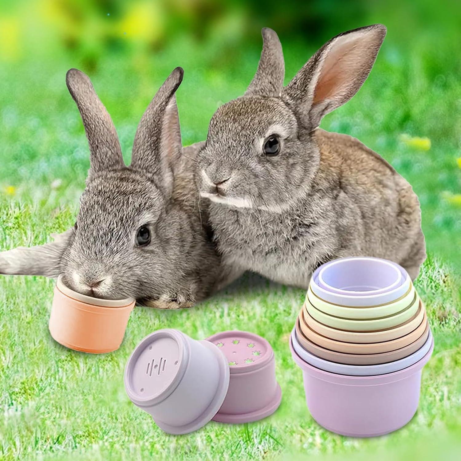 imageLot De 8 Tasses Empilables De Lapin Jouets De Lapin Empilables pour Cacher De La Nourriture Et Samuser Multicolore Jouet De Tasses NidificationConvient Aux Hamsters Lapins Cochons DInde