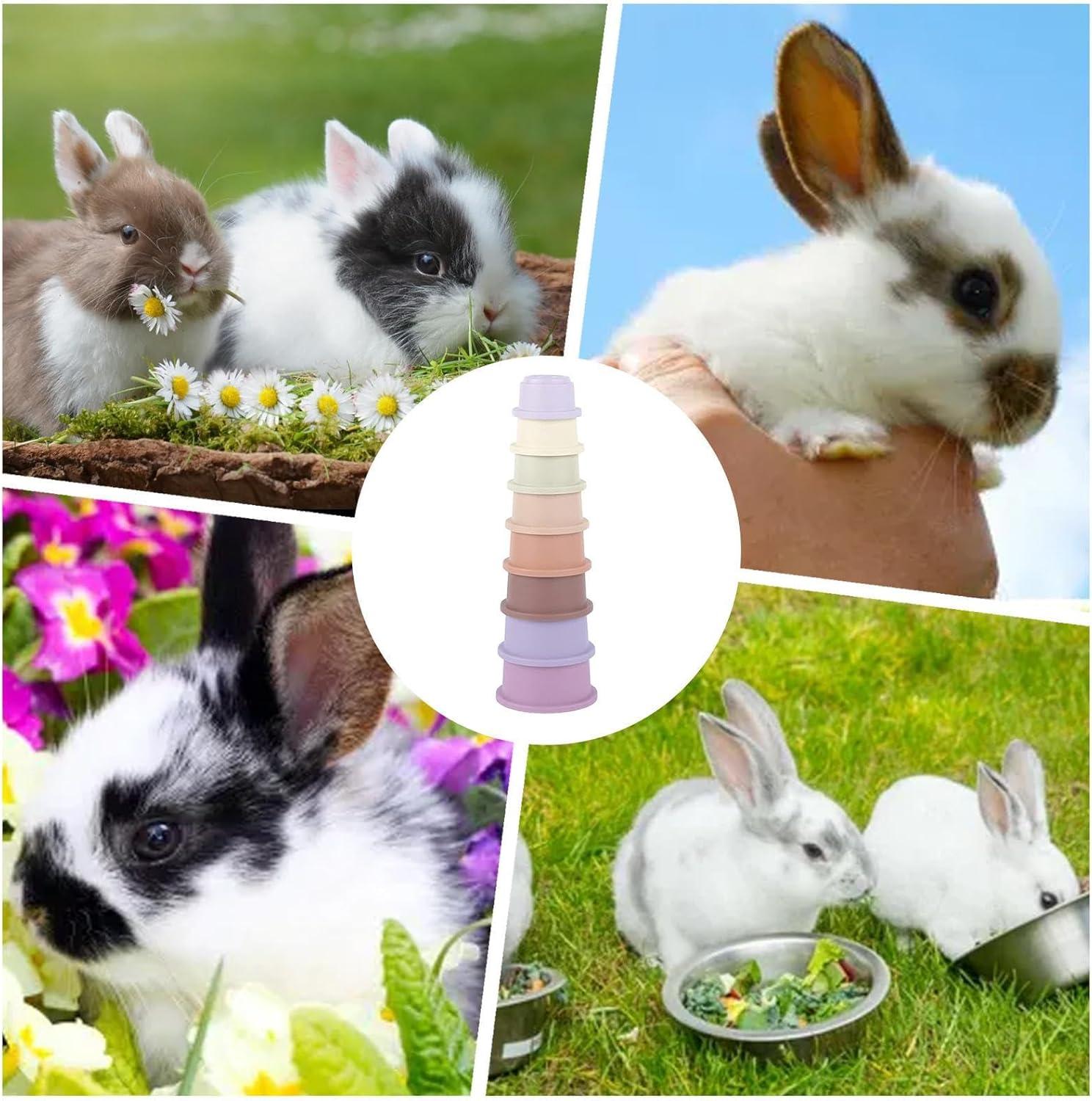 imageLot De 8 Tasses Empilables De Lapin Jouets De Lapin Empilables pour Cacher De La Nourriture Et Samuser Multicolore Jouet De Tasses NidificationConvient Aux Hamsters Lapins Cochons DInde